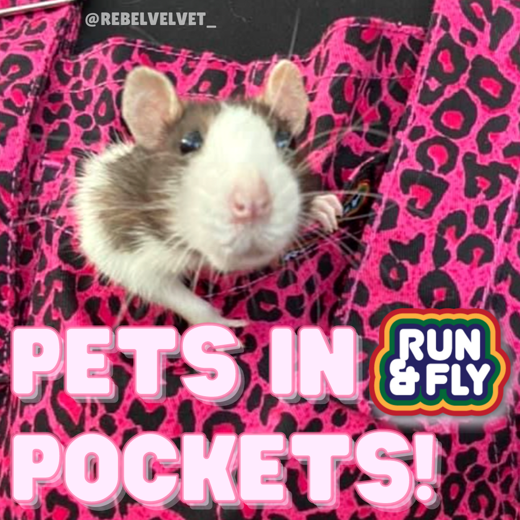 Pets in Run & Fly Pockets