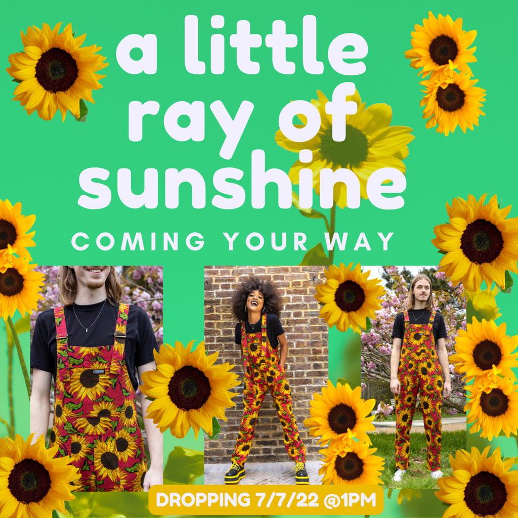 NEW SUNFLOWERS COMING TOMORROW!