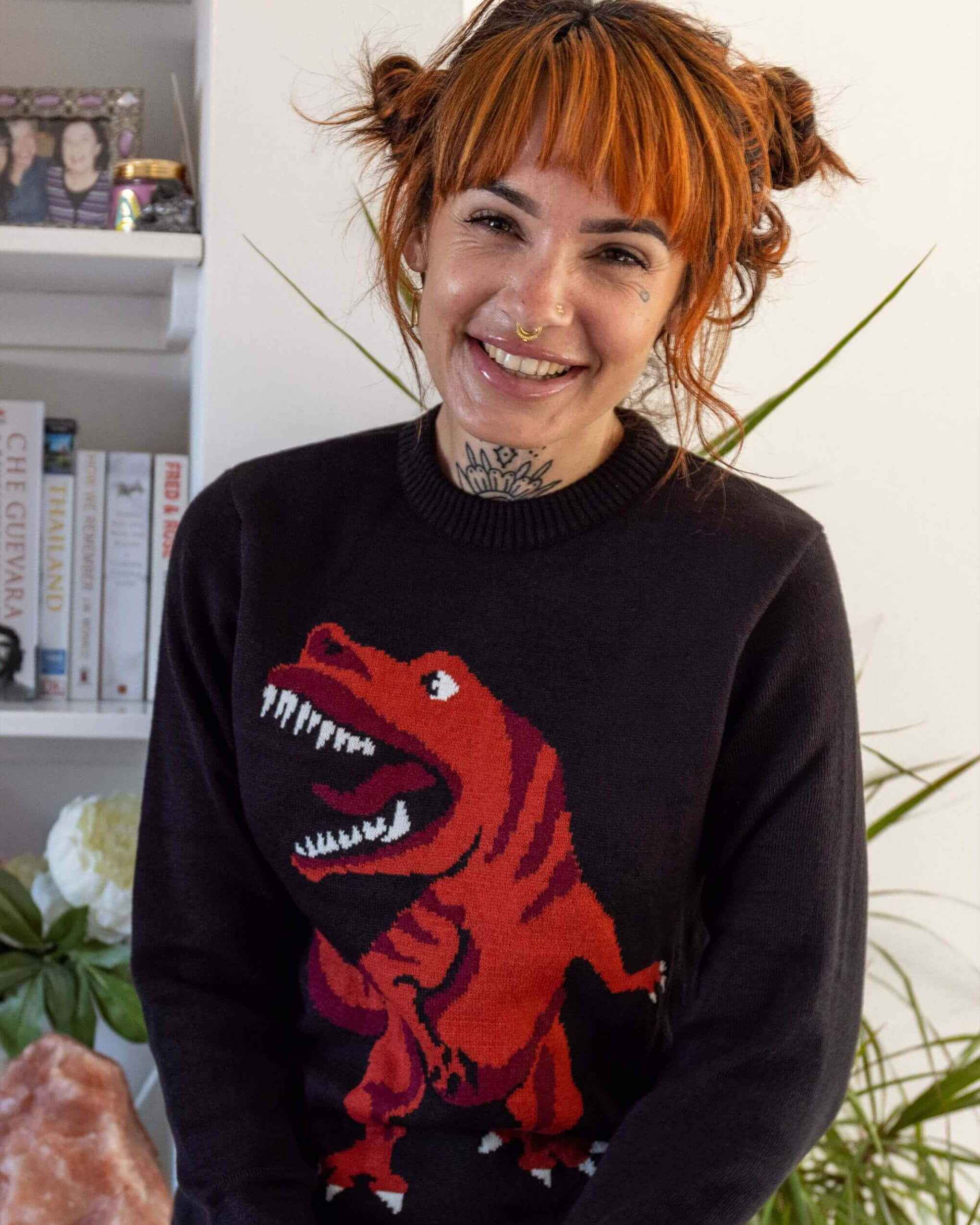 T Rex Dino-Roar Jumper – Run and Fly